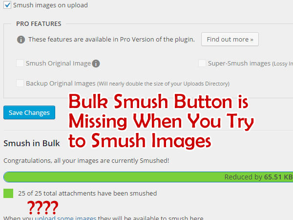 Bulk Smush Button is Missing