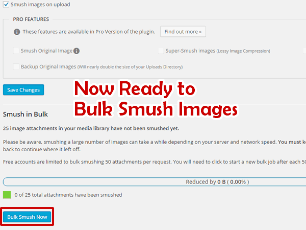 Now Ready to Bulk Smush Images Again